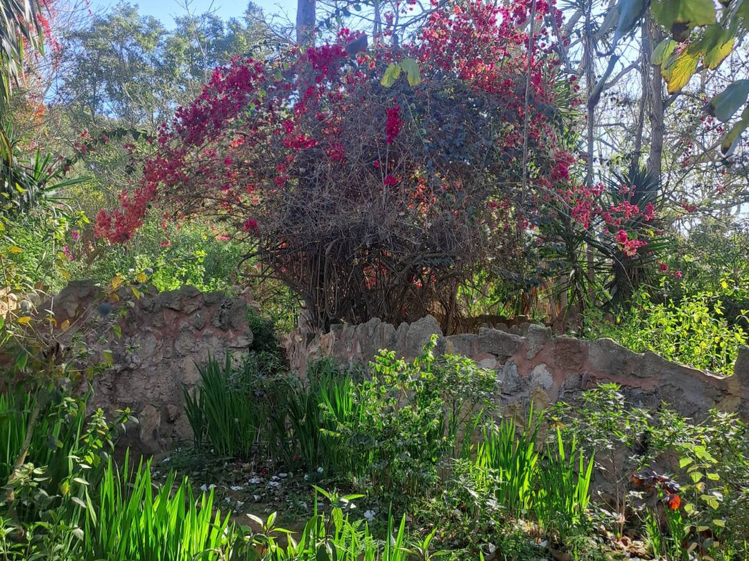 Les Jardins Exotiques De Bouknadel-拉巴特必去景点