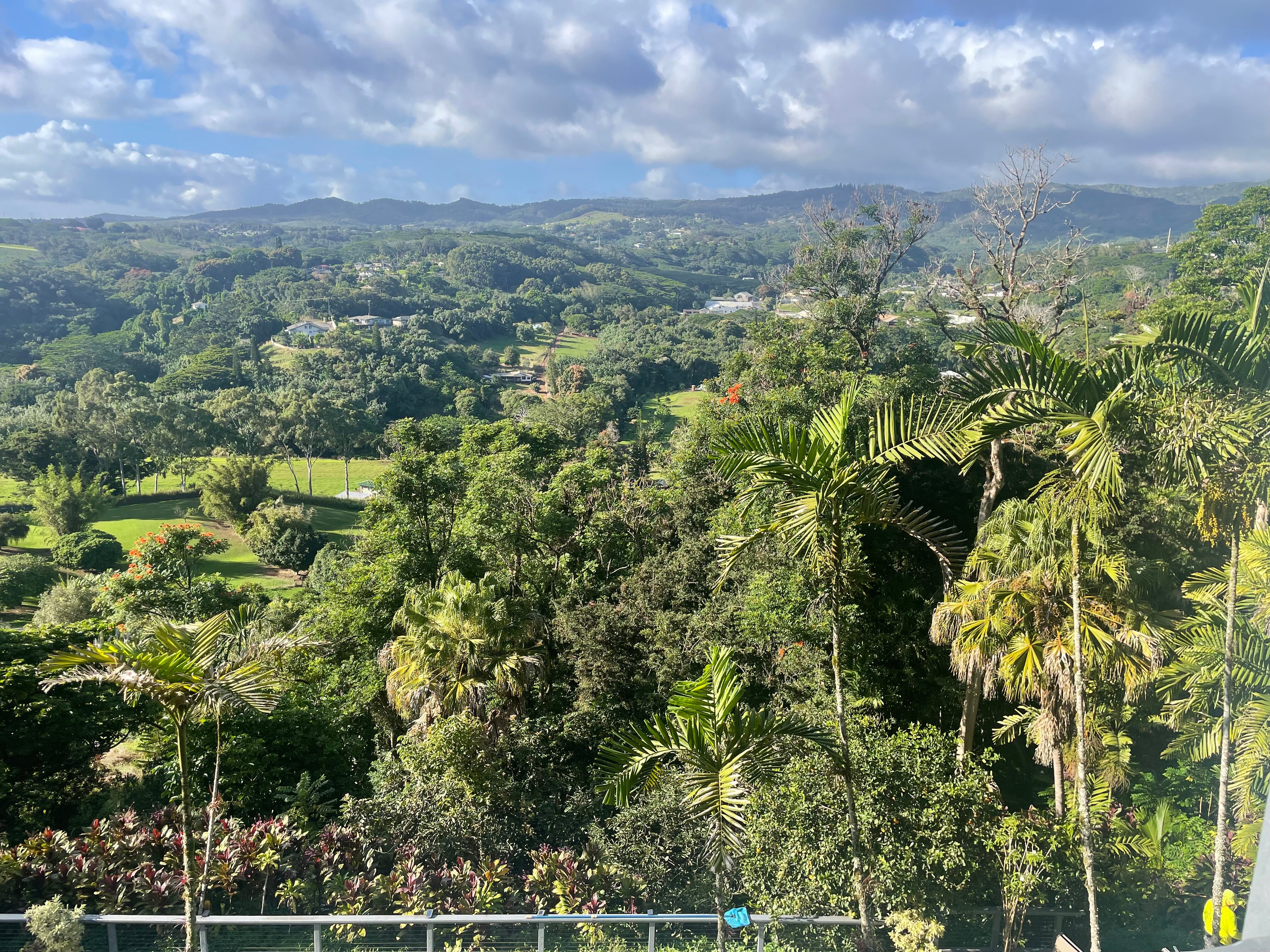 Marjorie's Kauai Inn-客卧