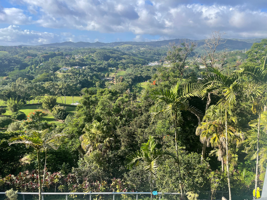 Marjorie's Kauai Inn主图