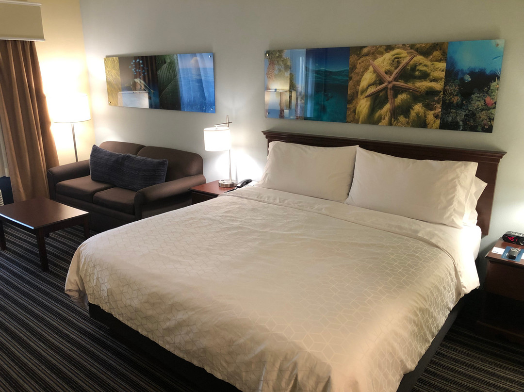 Holiday Inn Express & Suites Clearwater North/Dunedin By IHG主图