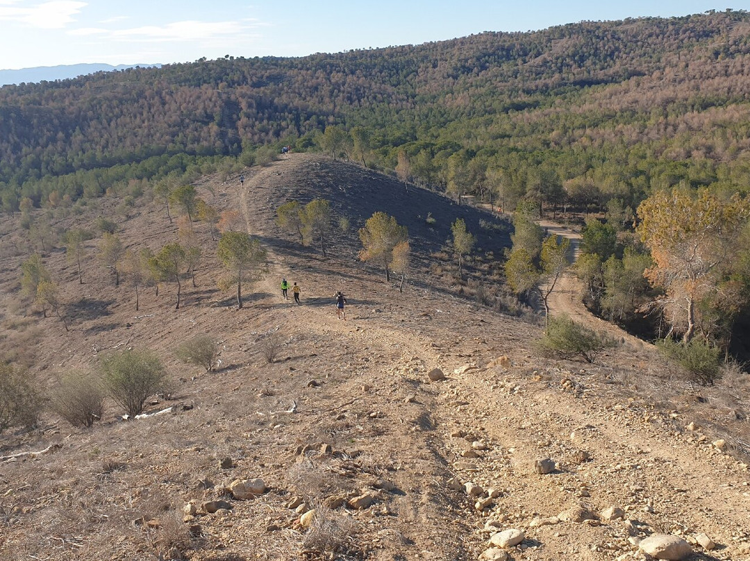 Lemon Trail Santomera-Santomera必去景点