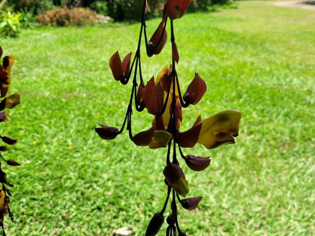 Vale das cachoeiras景点图片