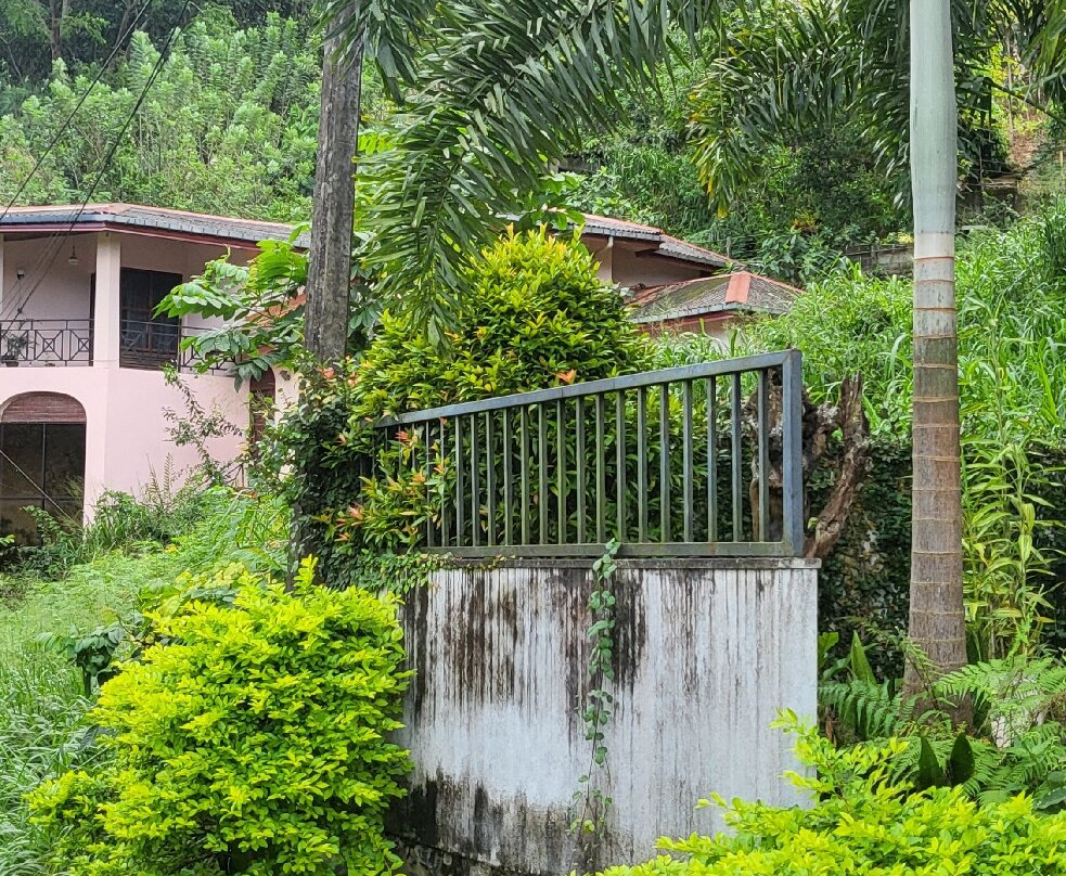 Green Heaven Resort主图