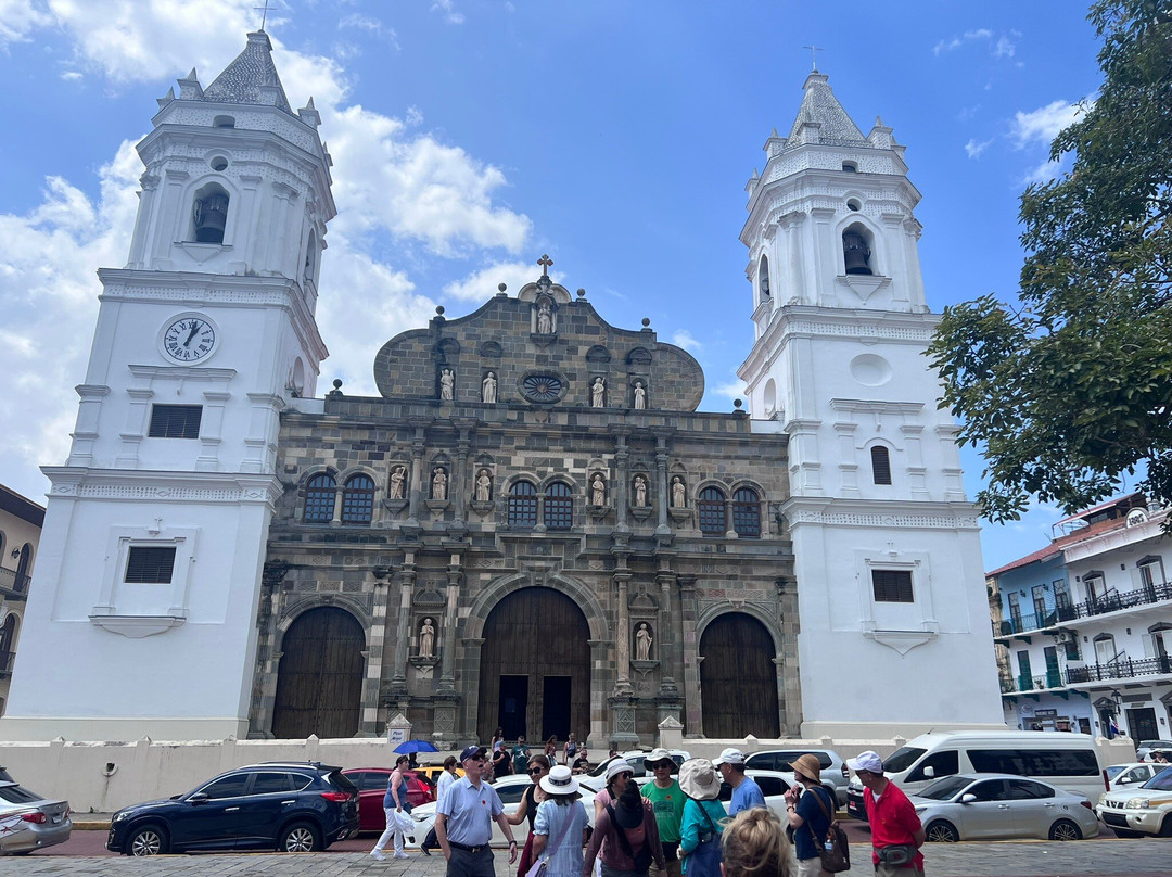 Plaza de la Catedral景点图片