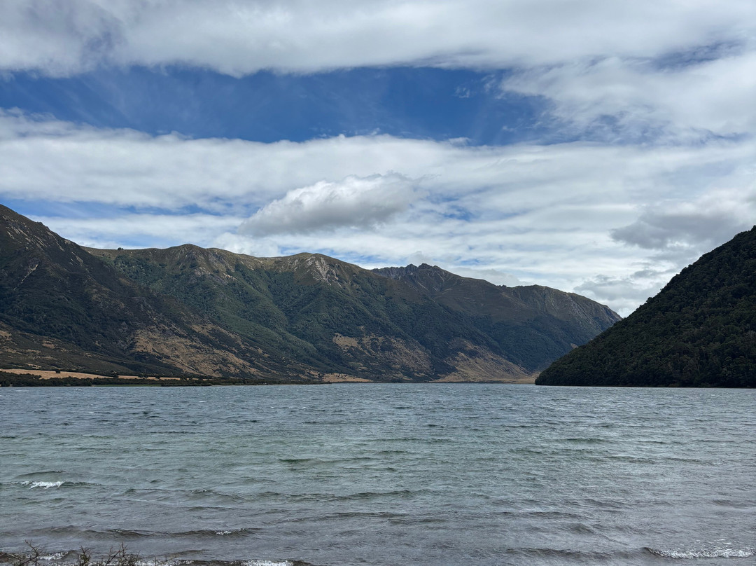 Lake Sumner Forest Park-Waipara必去景点