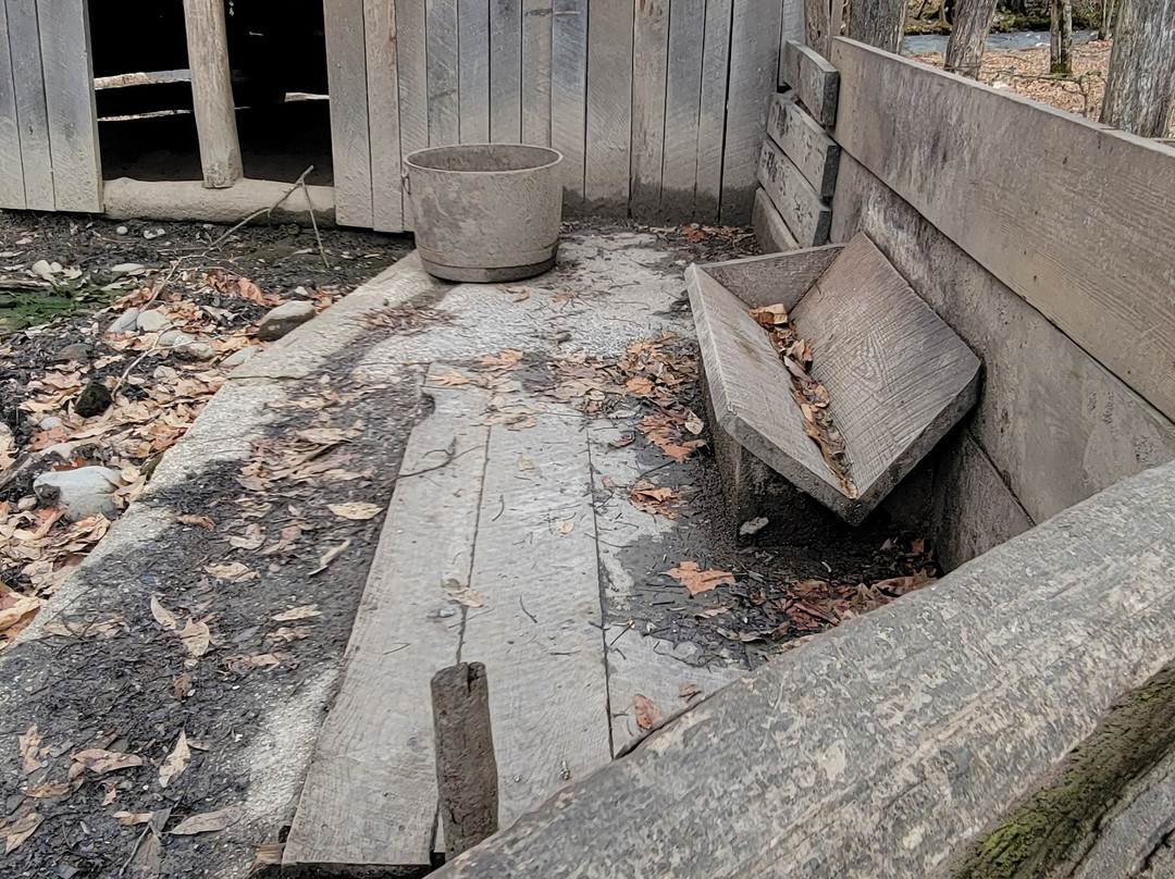 Mountain Farm Museum景点图片