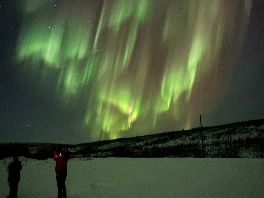 Wandering Alaska Llc-费尔班克斯必去景点