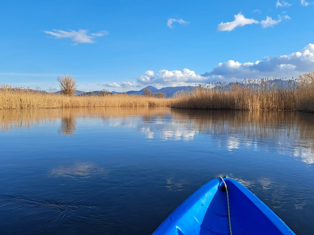 Narona Kayaking - Safari Kayaking Tour on Norin River景点图片