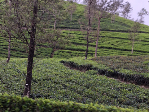 Cloviana Travels-卡卢特勒必去景点