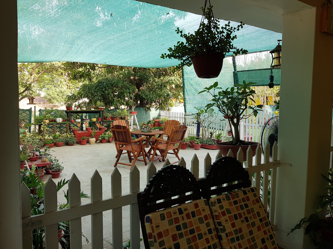 Koko's Farm-拉克瑙必去景点