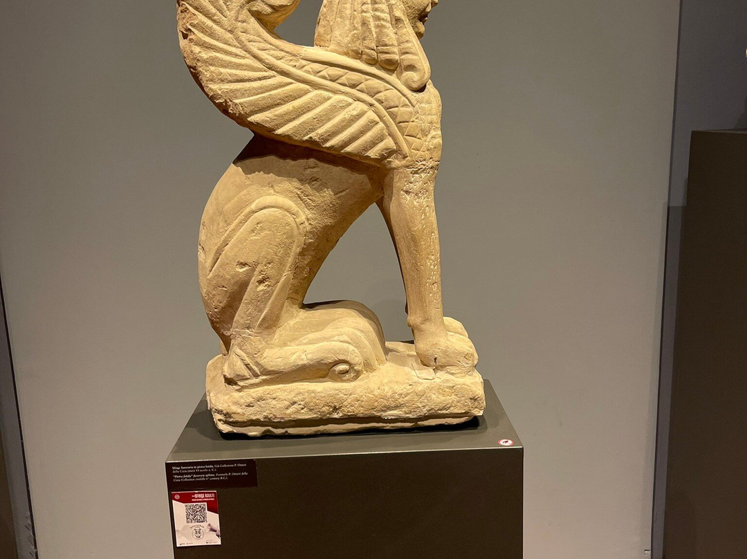 Museo Archeologico Nazionale景点图片