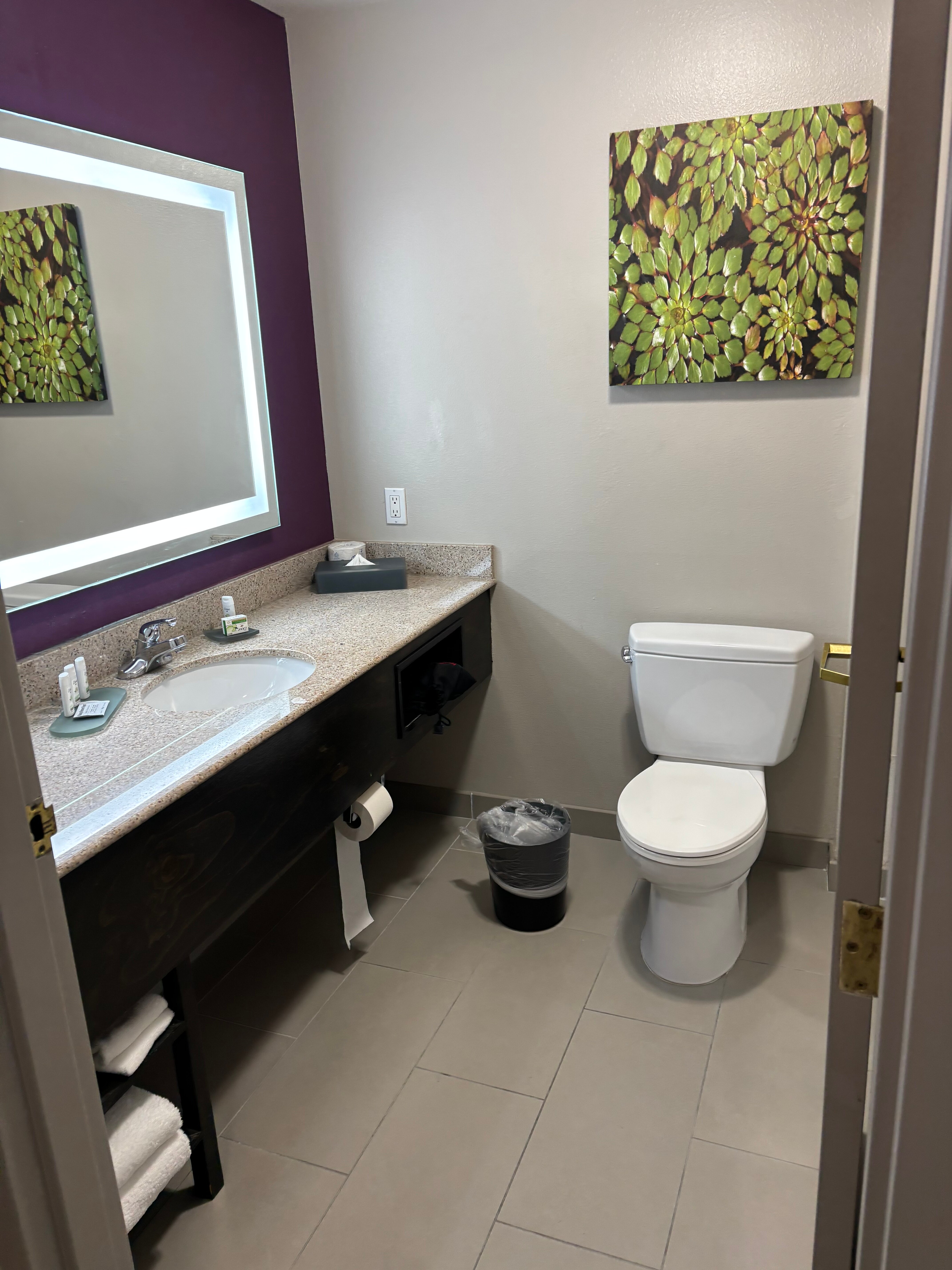 La Quinta Inn & Suites by Wyndham Latham Albany Airport-客卧
