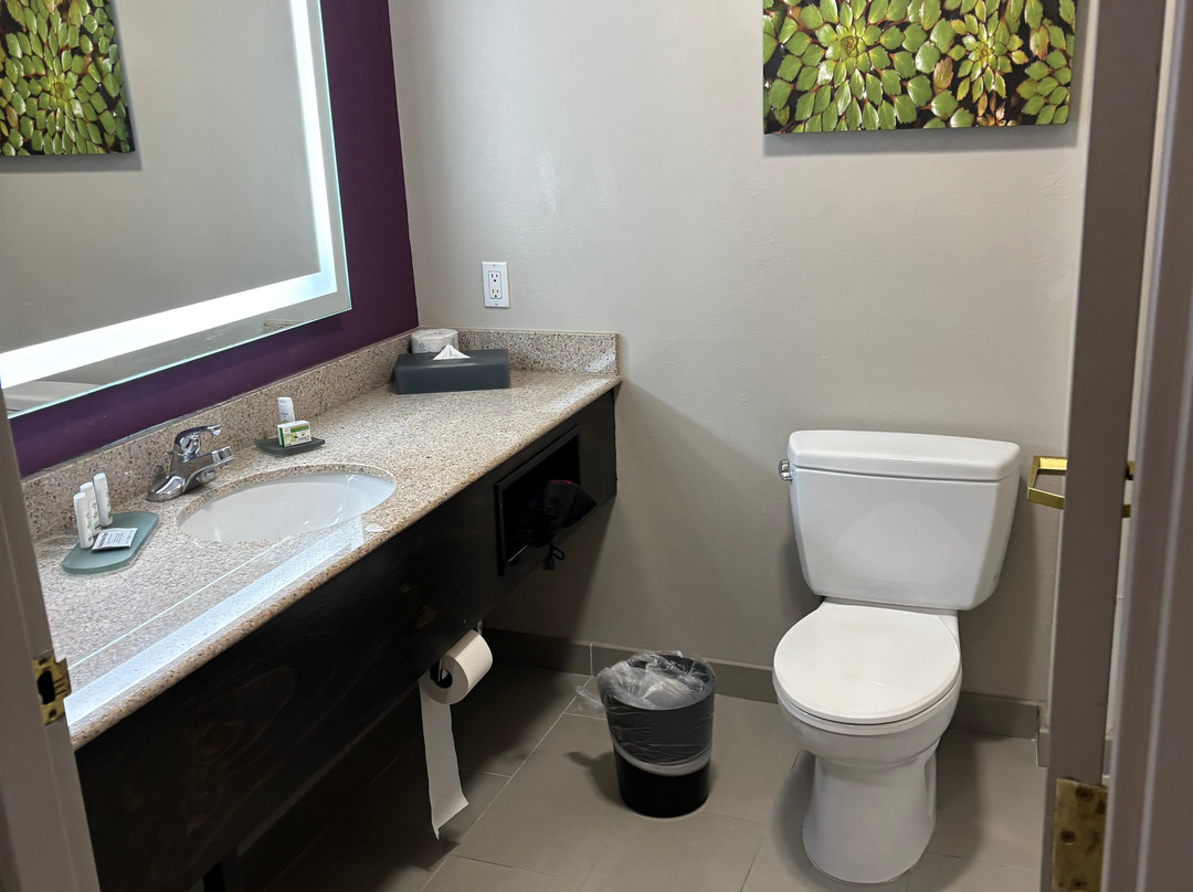 La Quinta Inn & Suites by Wyndham Latham Albany Airport主图