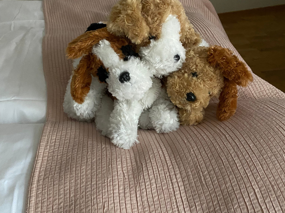 贝斯特韦斯特贵族山庄酒店主图