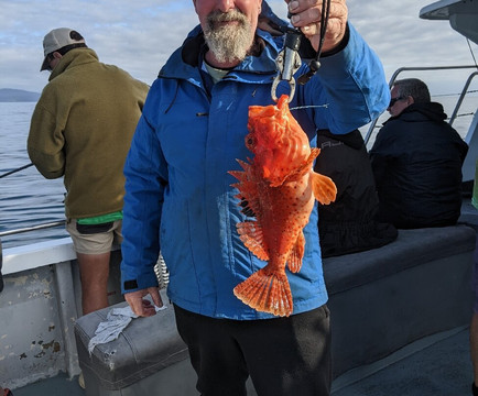 Freedom Charters-伊登港必去景点