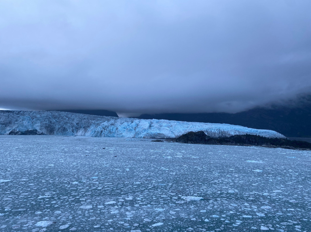 Glaciar Amalia-纳塔莱斯港必去景点