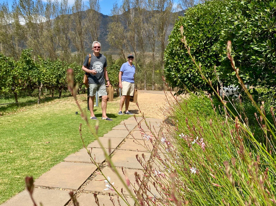 Holden Manz Wine Estate-法兰舒克必去景点