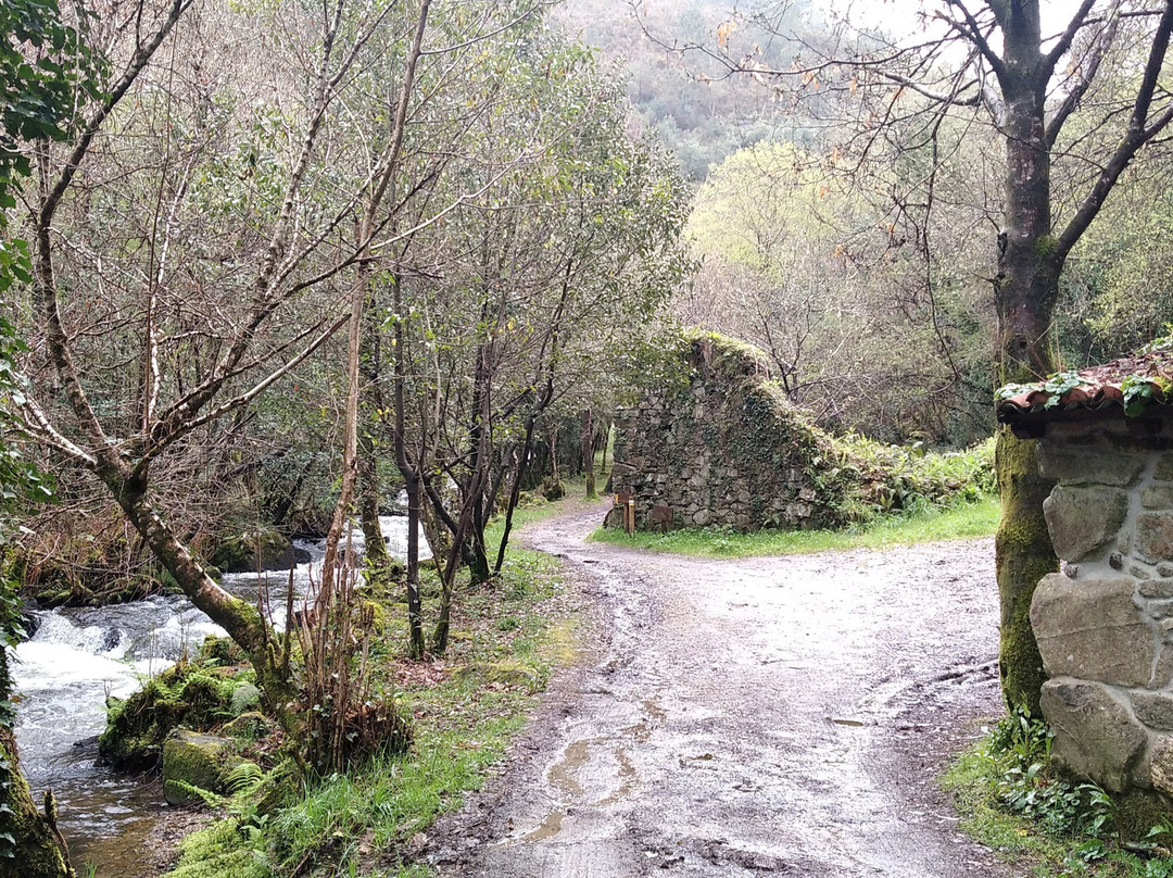 Fervenza De San Paio景点图片