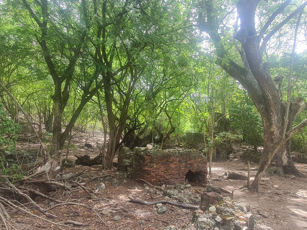 Capitaine Titi Balades en Mer-La Trinite必去景点