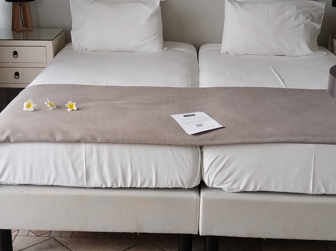 Hotel Les Creoles主图