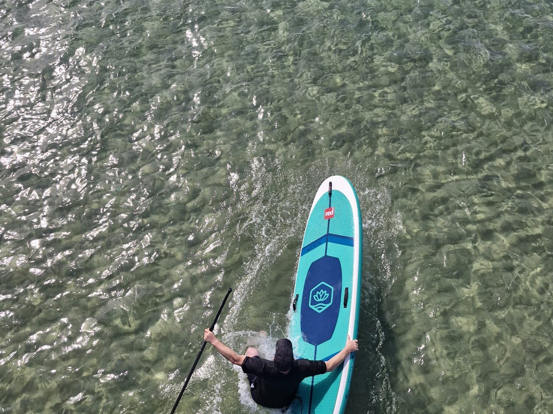 Stand Up Paddle Boarding Shellharbour景点图片