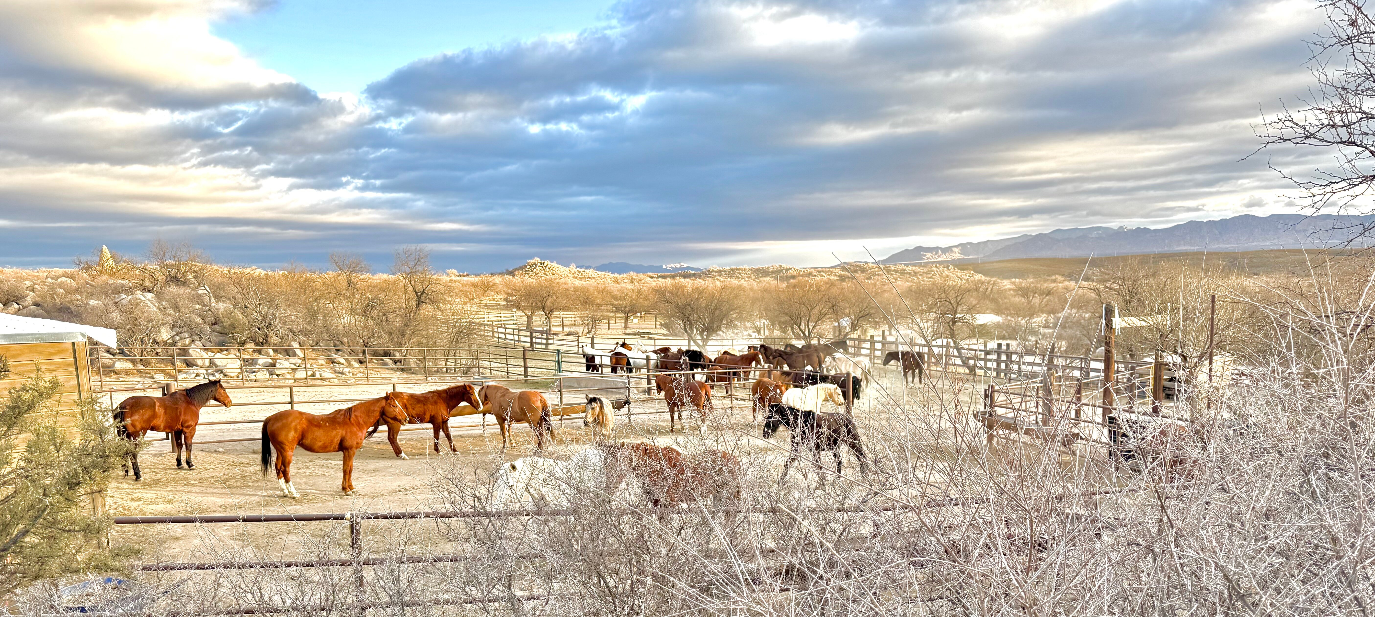 Tombstone Monument Ranch-官方