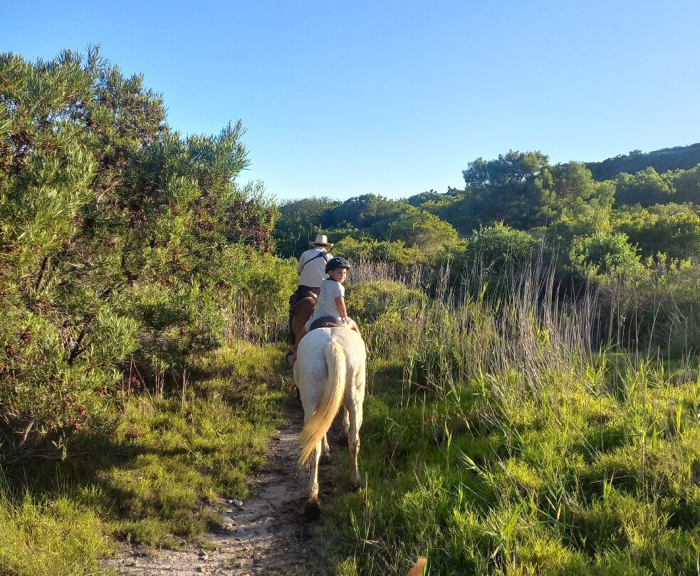 Dio Dell Amore Guest House主图