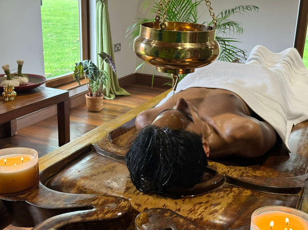 Green Ayurveda Spa景点图片