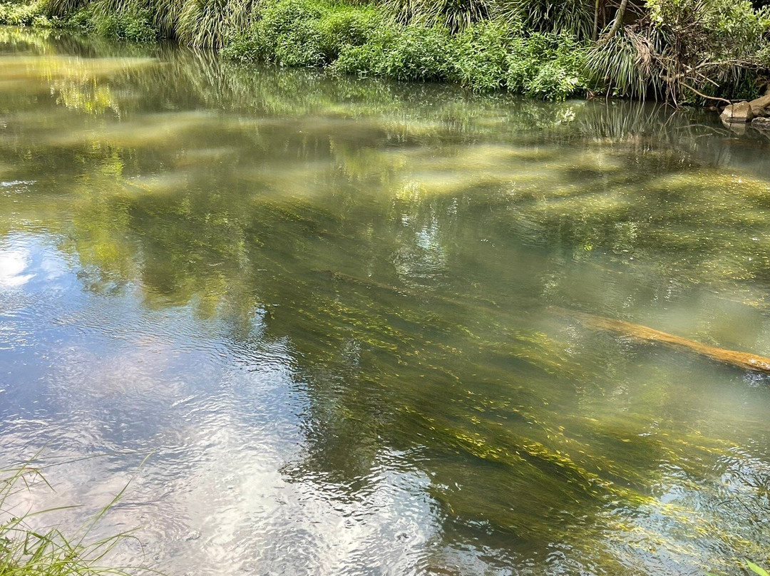 Bangalow Weir Parklands景点图片