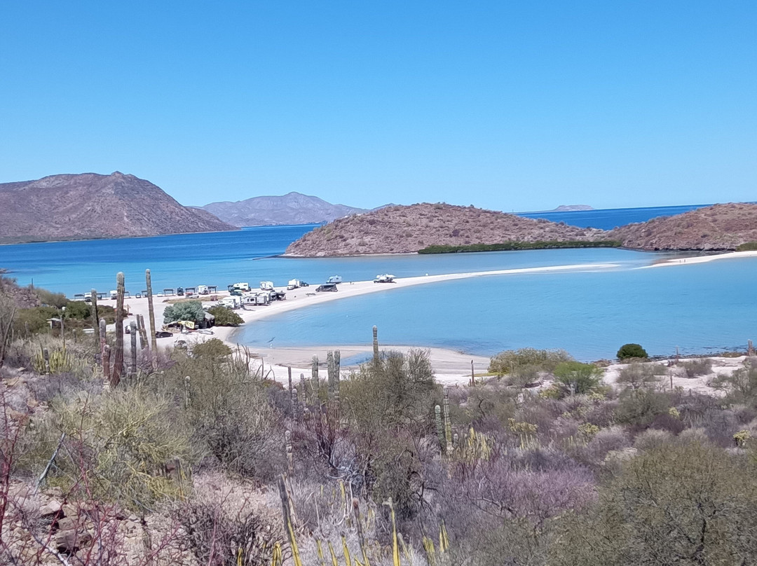 Baja California Adventure-拉巴斯必去景点