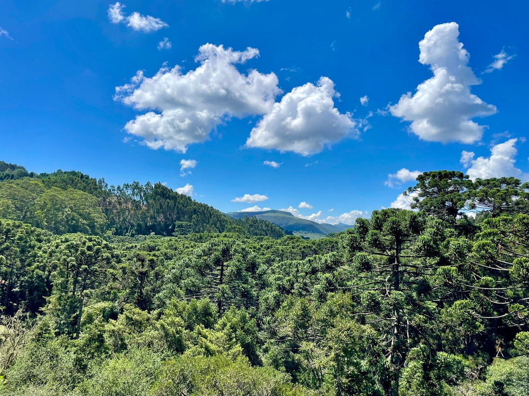 Trilha das Corredeiras do Itapuá