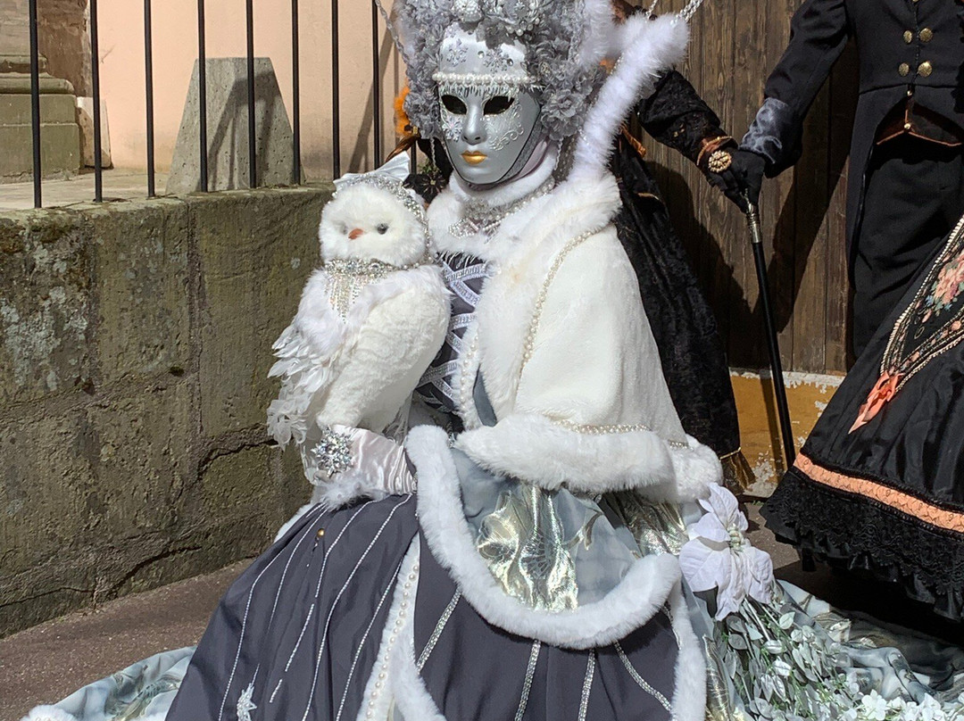 Carnaval Venitien de Remiremont景点图片