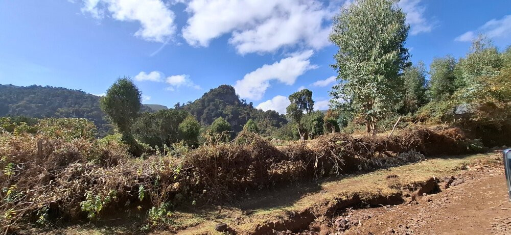 Bale Trek Ethiopia Tours-Goba必去景点