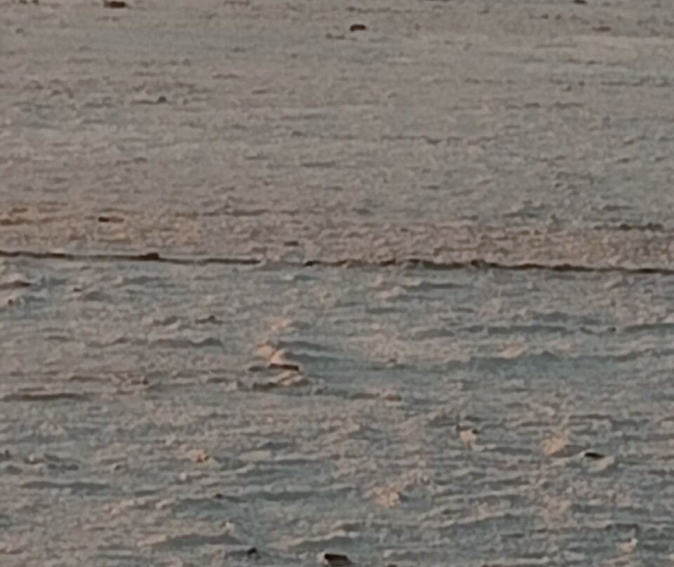 White Desert Of Kutch-普杰必去景点