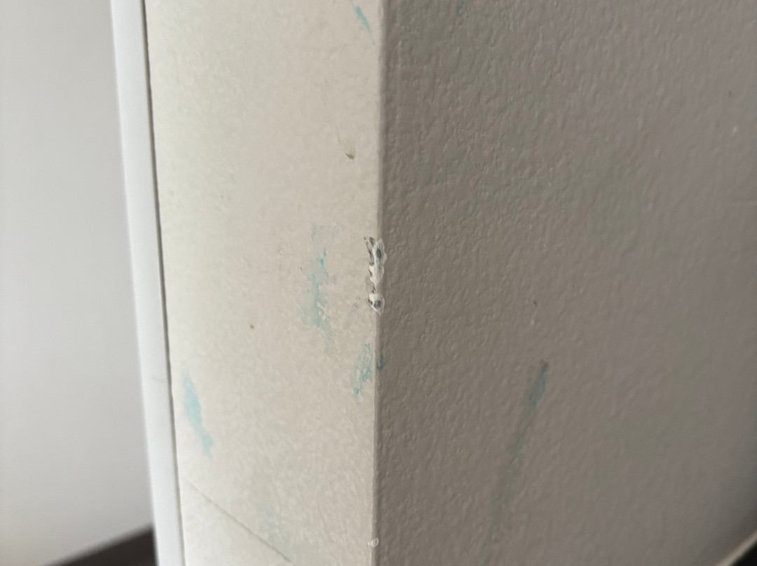 Wingate by Wyndham Loveland主图