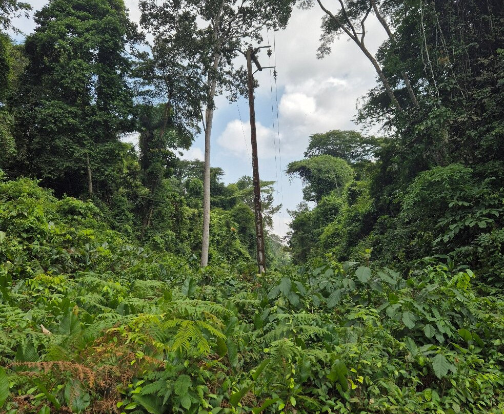 Association Afric Art-阿比让必去景点