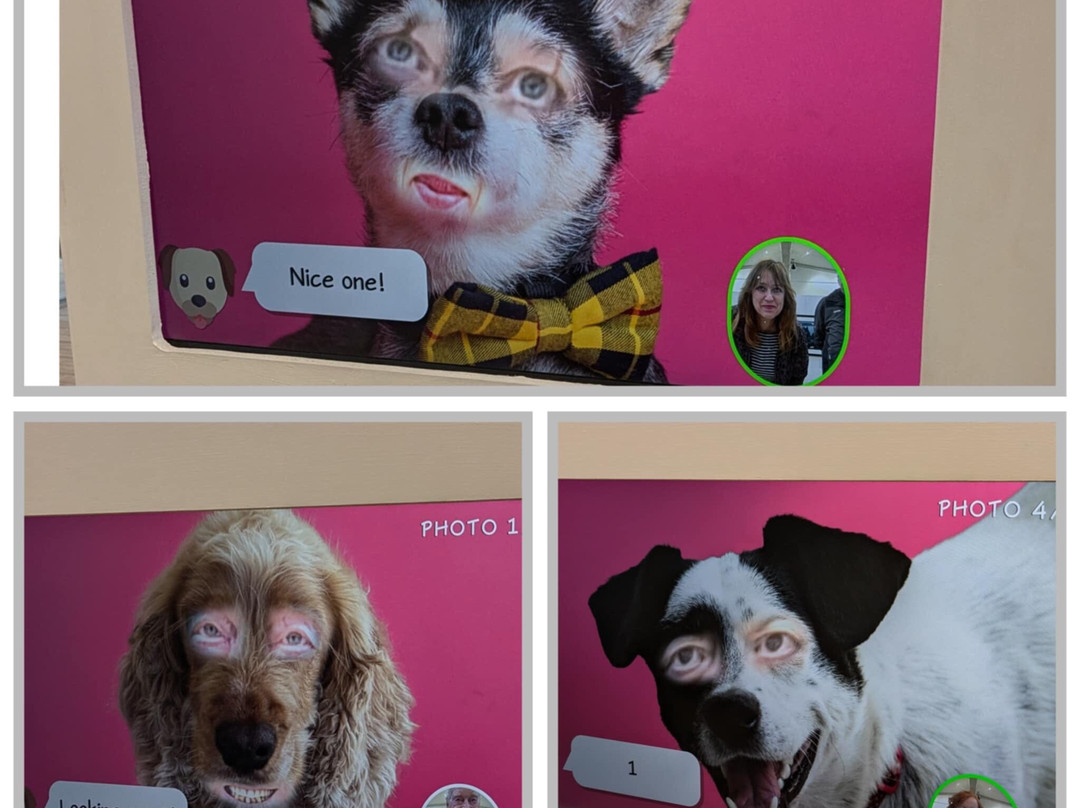 Kirkleatham Museum-Redcar必去景点