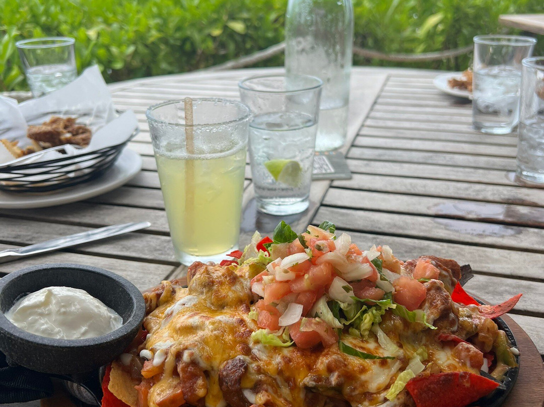 Bight Reef (Coral Gardens)-普罗维登西亚莱斯必去景点