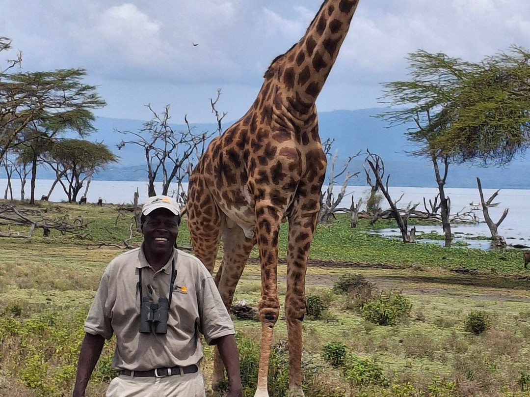 Topcats Safaris Ltd-内罗毕必去景点