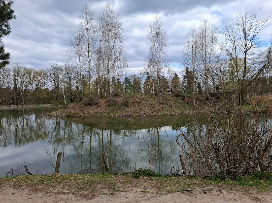 Wildpark Johannismühle-Baruth必去景点