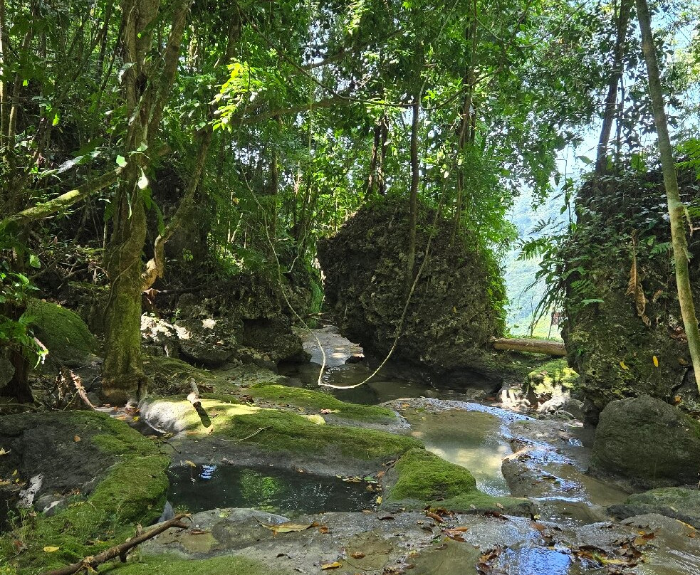 Nonsuch Falls景点图片