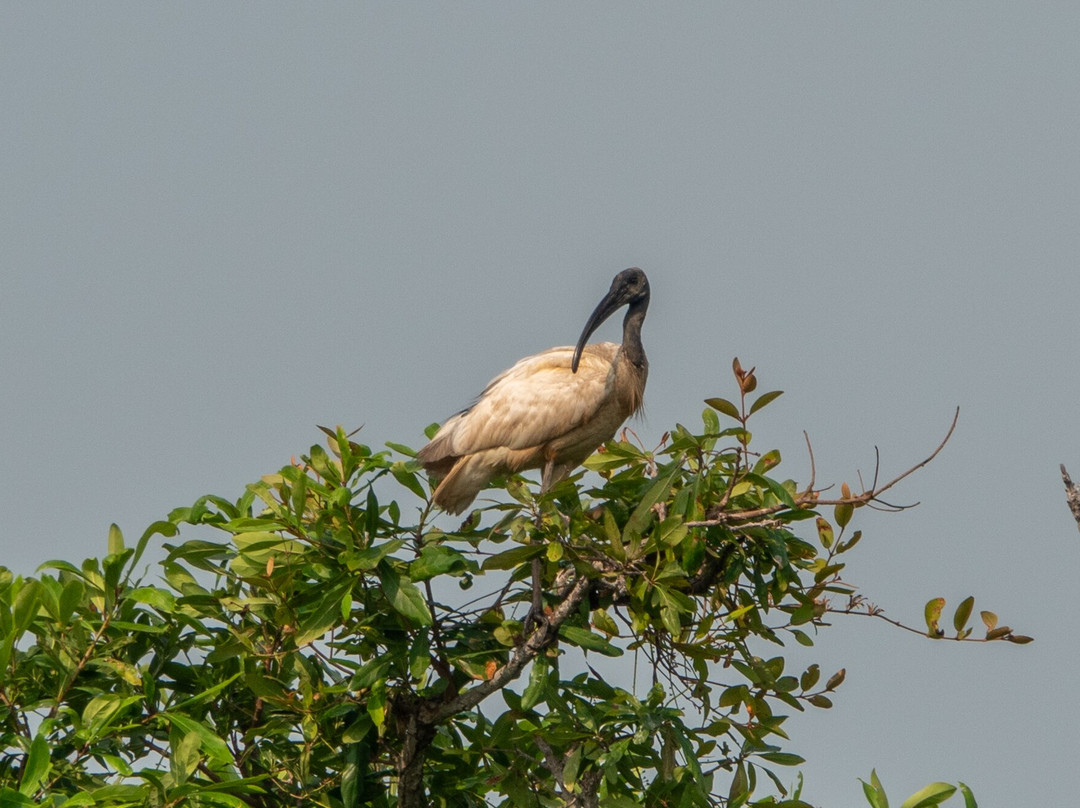 Prek Toal Tours & Travel-暹粒必去景点