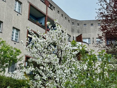 Hufeisensiedlung-柏林必去景点