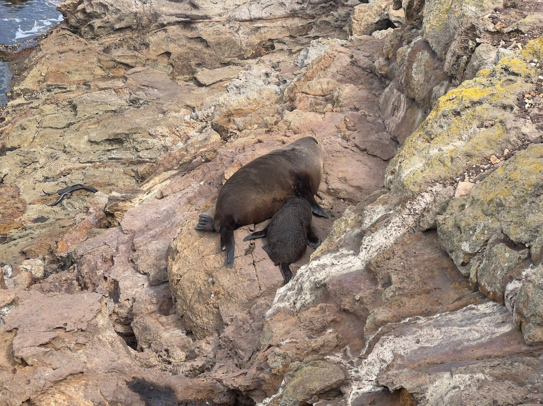 Stevong Travel-奥克兰中心地区必去景点