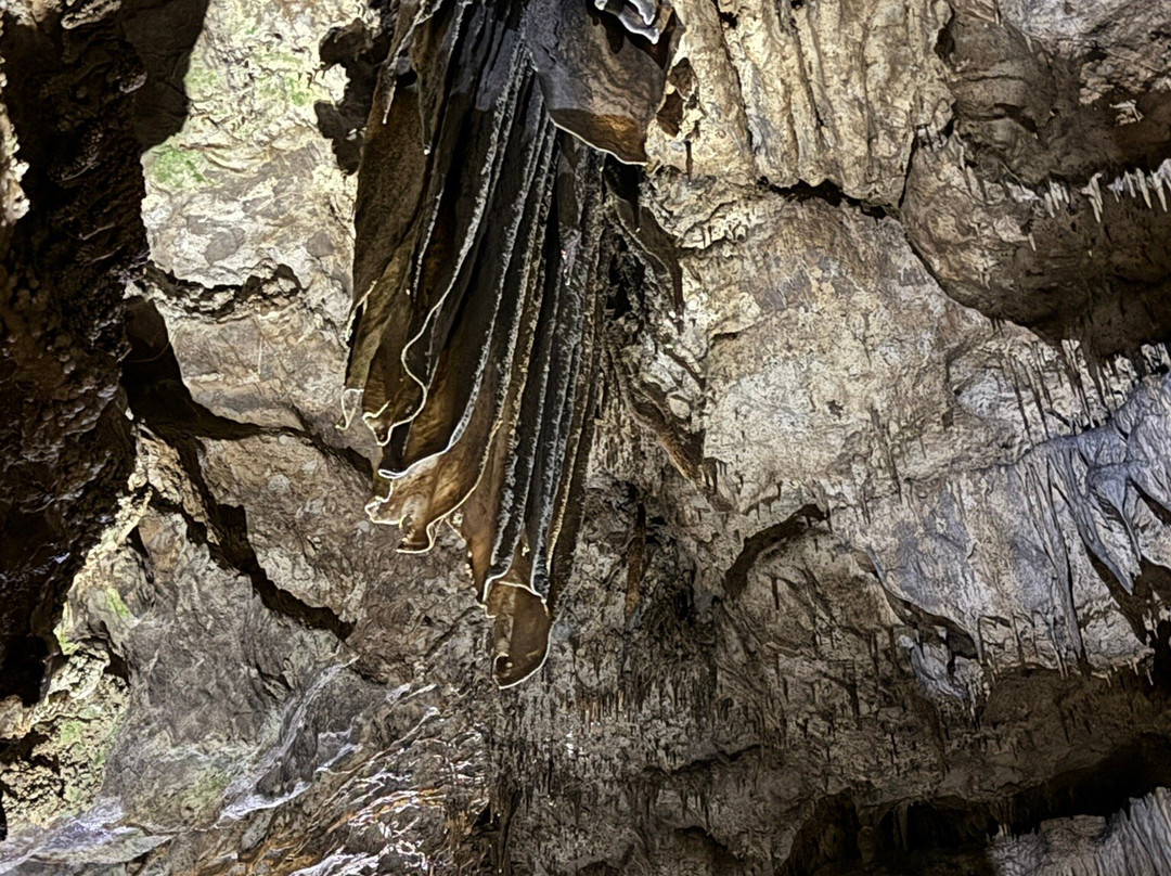 Domaine Des Grottes De Han景点图片