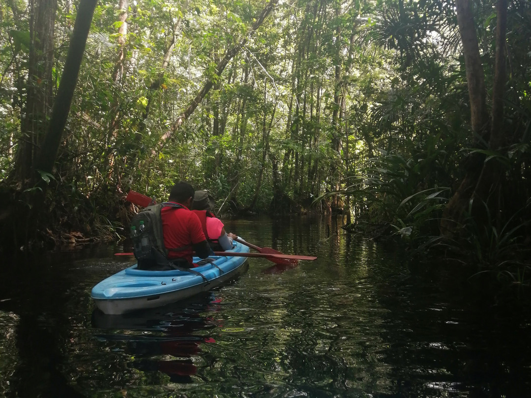 Arrowpoint Nature Resort主图