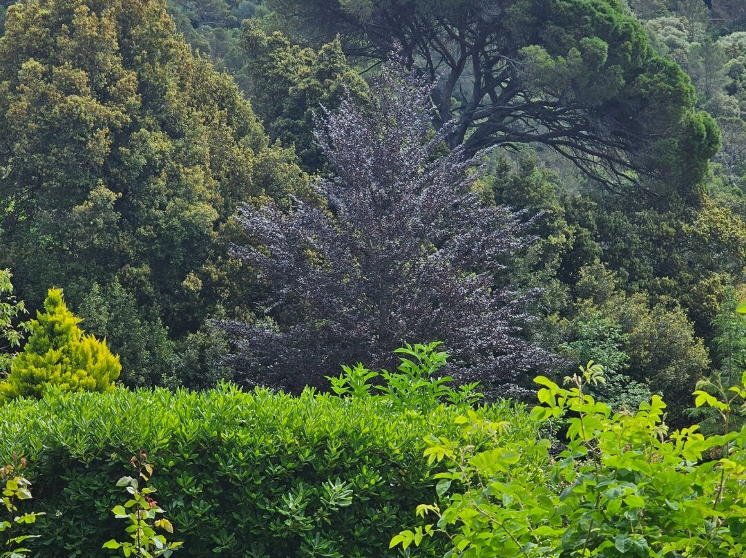 Parco Aymerich-Laconi必去景点