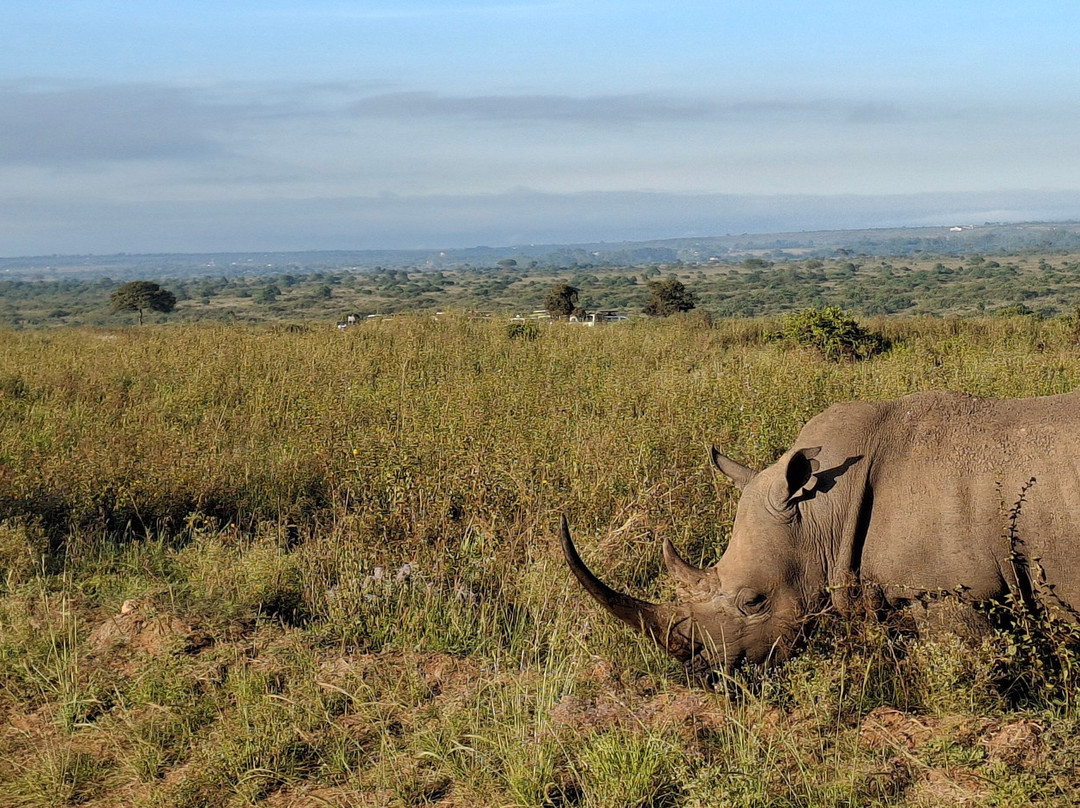 Malnodez Safaris-纳库鲁必去景点