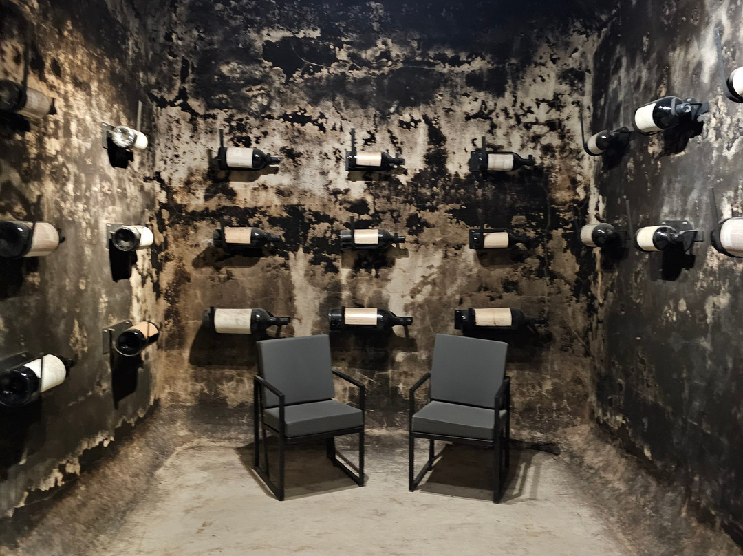 Casarena Bodega y Viñedos-路冉得库约必去景点