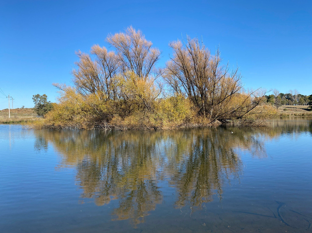 Lake Williams-Nimmitabel必去景点